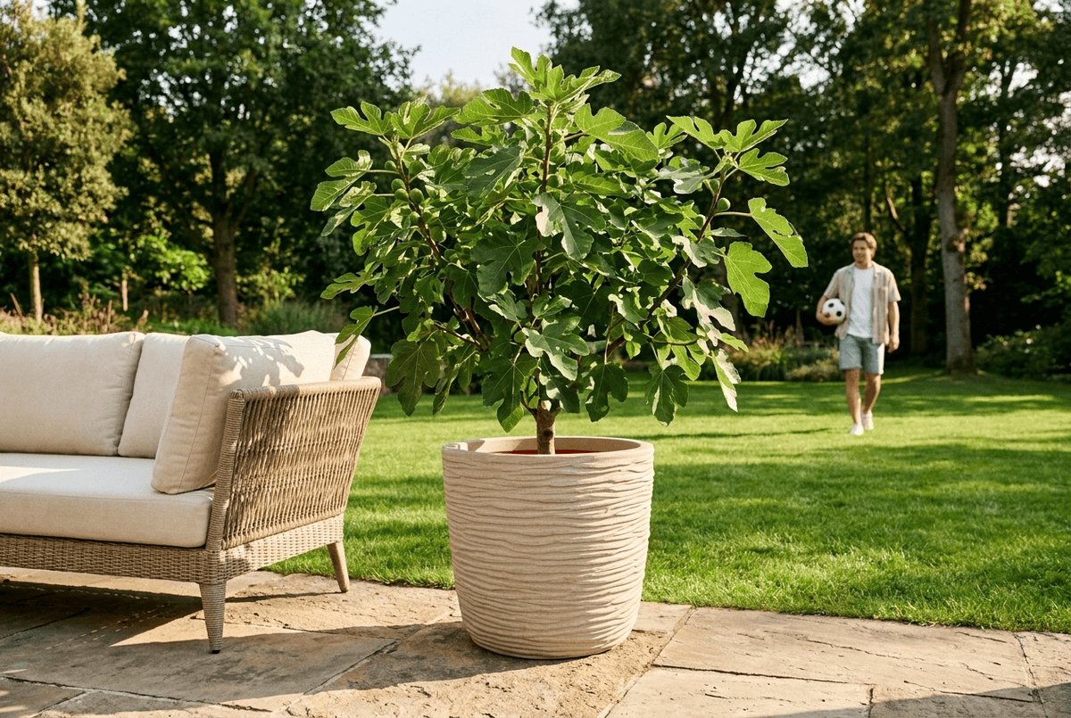 Capi Europe Pot de fleurs œuf Compresso NL - 59x52 - Brun foncé