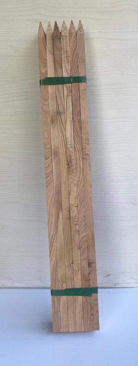 Palen van eikenhout, vierkant met punt 2,5 x 2,5 x 50 cm