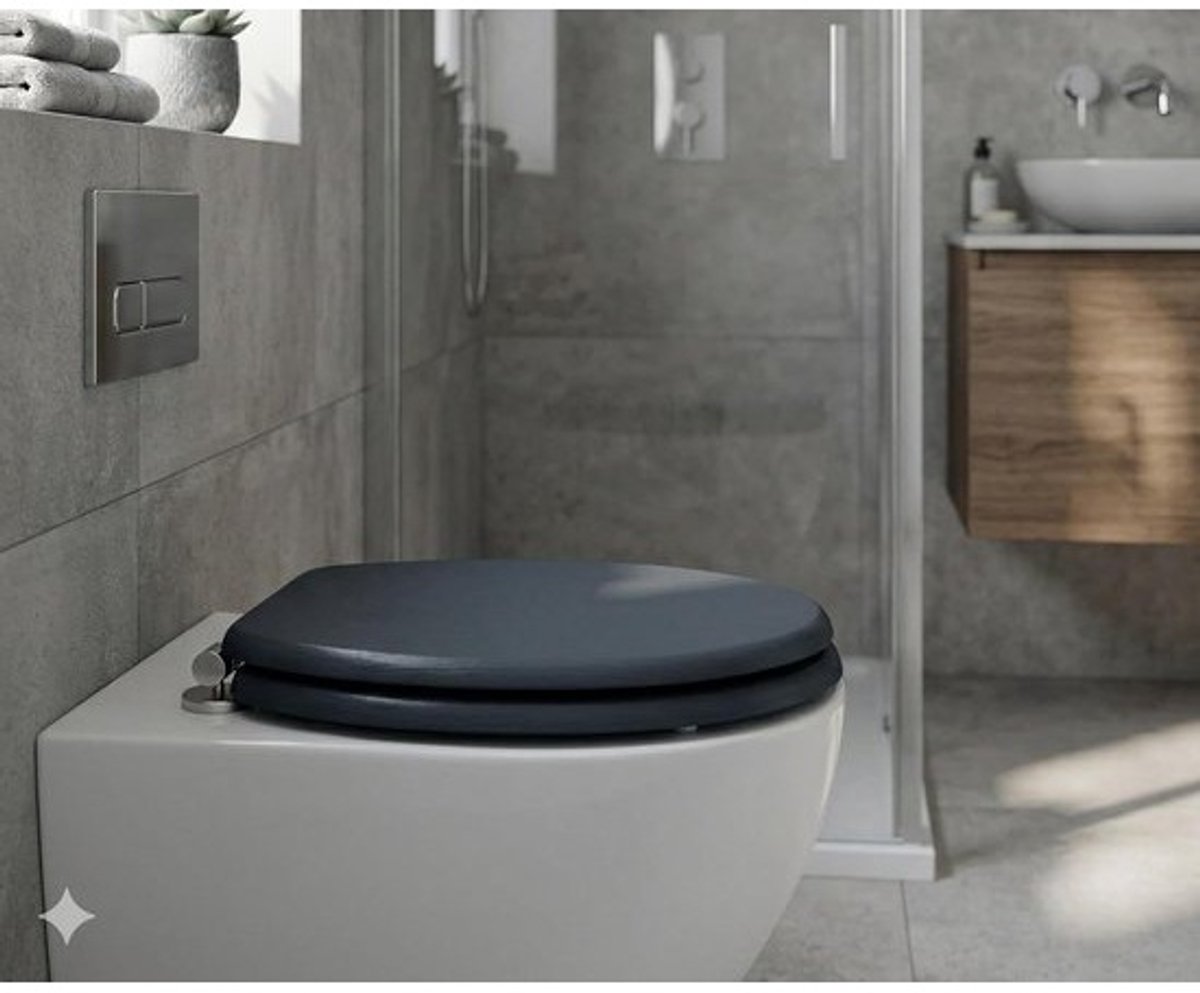 Toiletzittingdeksel - Wc-bril - Voor badkamervernieuwing - Softclose-scharnieren - 345 x 440 mm - Antraciet