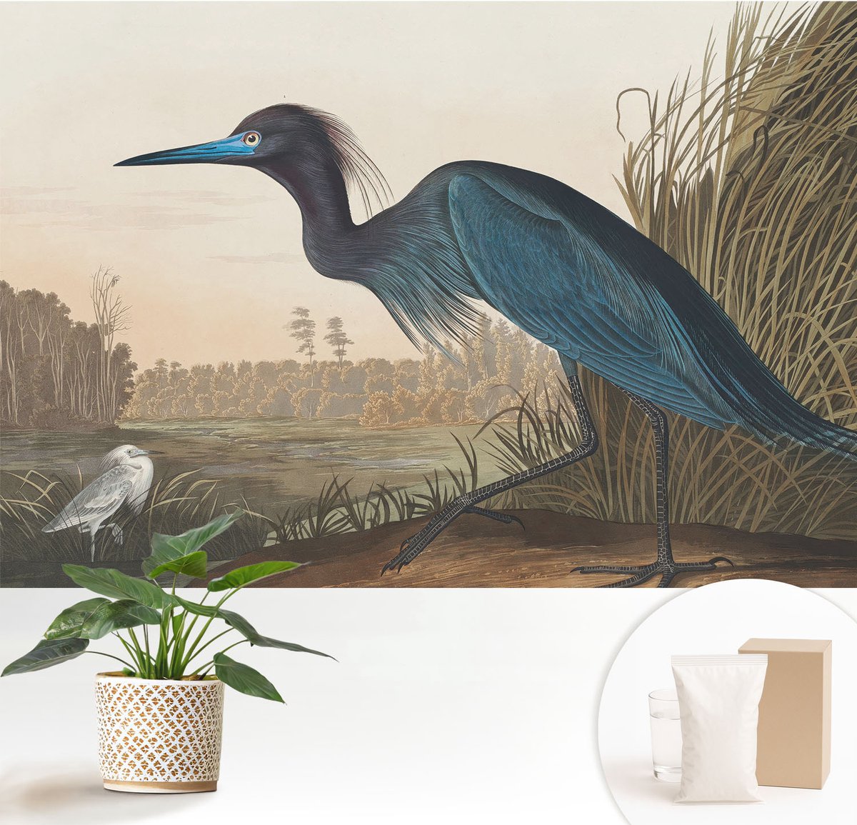 Wallfluent Fotobehang - Groente Vliesbehang - 152x104 cm - Watervogels Fotobehang Vlies - Hal behang Dieren - Muurschildering - Woonkamer behang