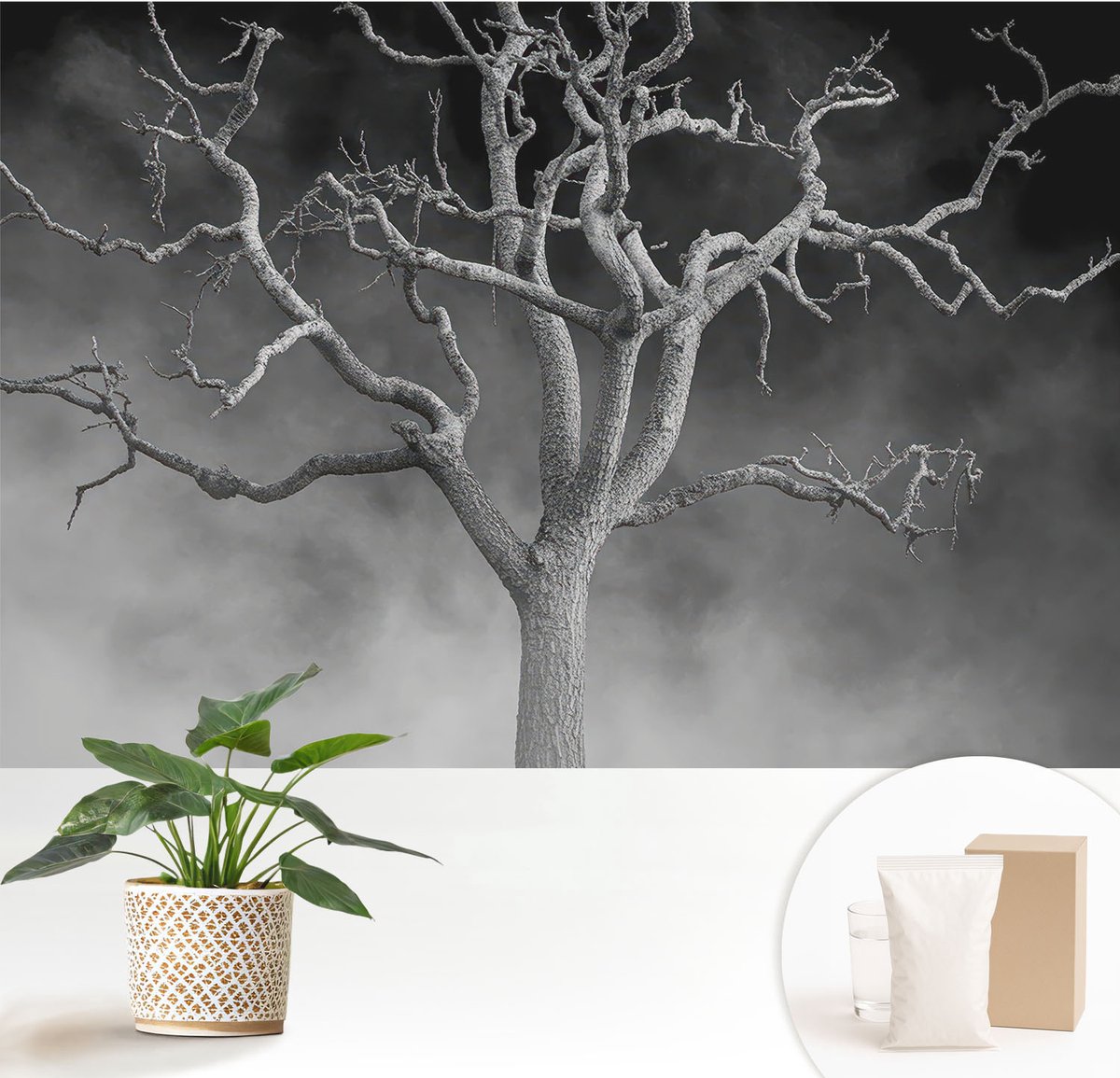 Wallfluent Fotobehang - Zwart-Wit Vliesbehang - 152x104 cm - Mistige Boom Fotobehang Vlies - Woonkamer behang Bloemen En Planten - Muurschildering - Woonkamer behang