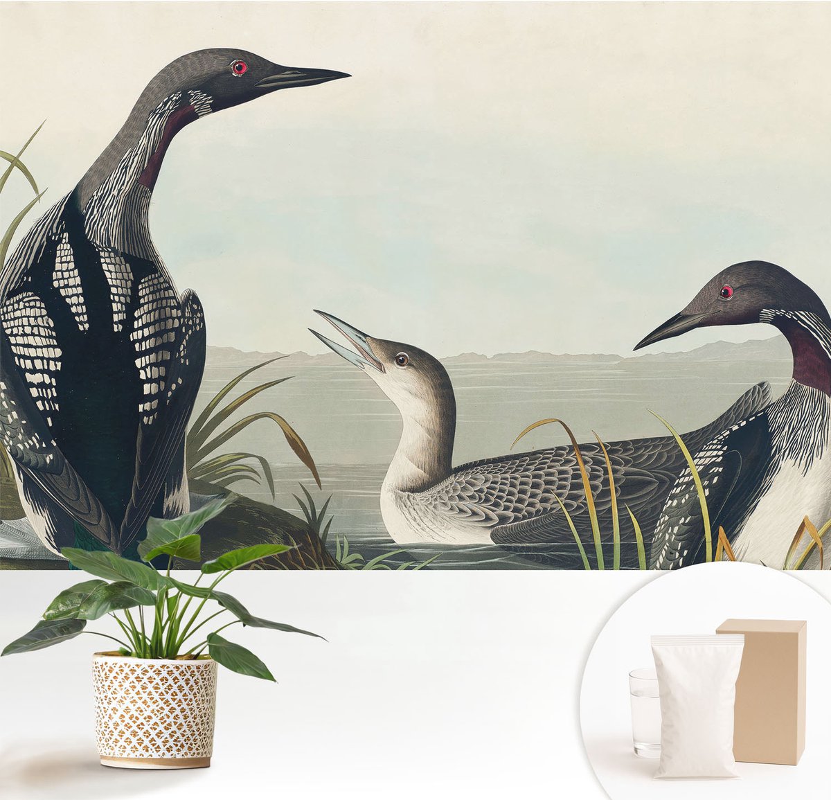 Wallfluent Fotobehang - Zwart Vliesbehang - 152x104 cm - Vogels Boven Het Water Fotobehang Vlies - Woonkamer behang Dieren - Muurschildering - Woonkamer behang