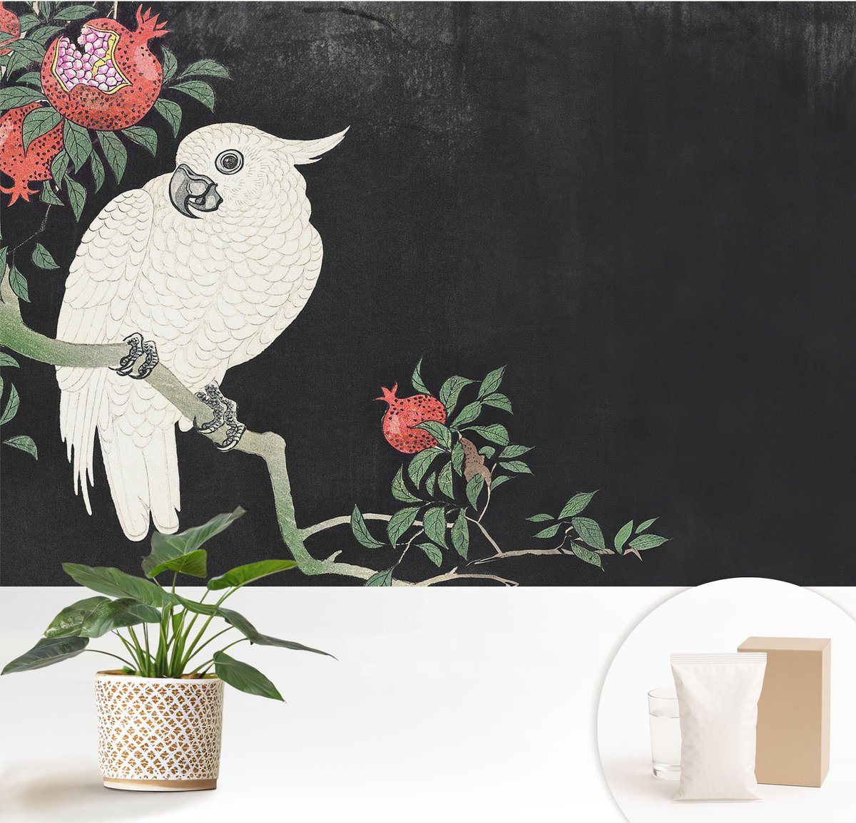 Wallfluent Fotobehang - Zwart Vliesbehang - 152x104 cm - Granaatappelpapegaai Muurschildering - Gang behang Dieren - Fotobehang Vlies - Slaapkamer behang