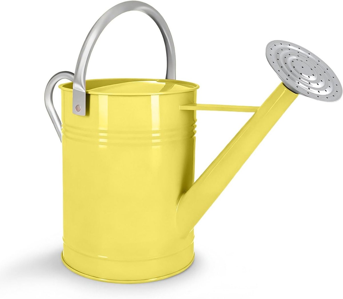 6.5L Metal Watering Can for Outdoor and Indoor Plants, Galvanized Steel Watering Can with Removable Pouring Spout - ShopVlot