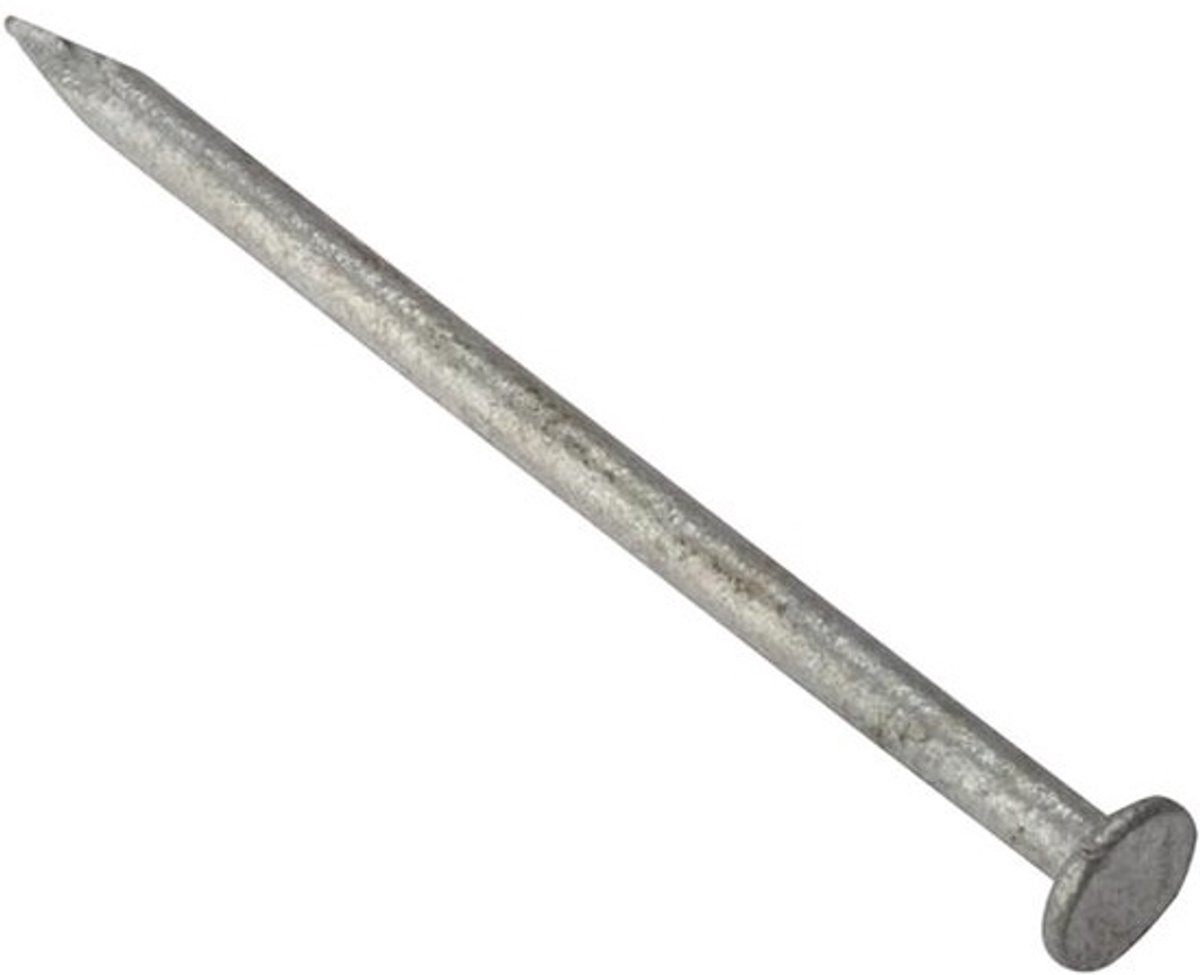 Spijkers met ronde kop - Gegalvaniseerd bevestigingsmateriaal - Voor bouwen en repareren - Corrosiebestendig materiaal - 65 mm - 500 gram