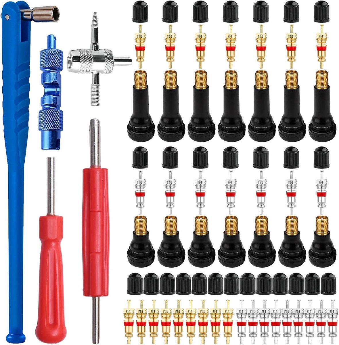 Complete 41-delige set voor het vervangen van bandenventielen met ventielmoersleutel en accessoires