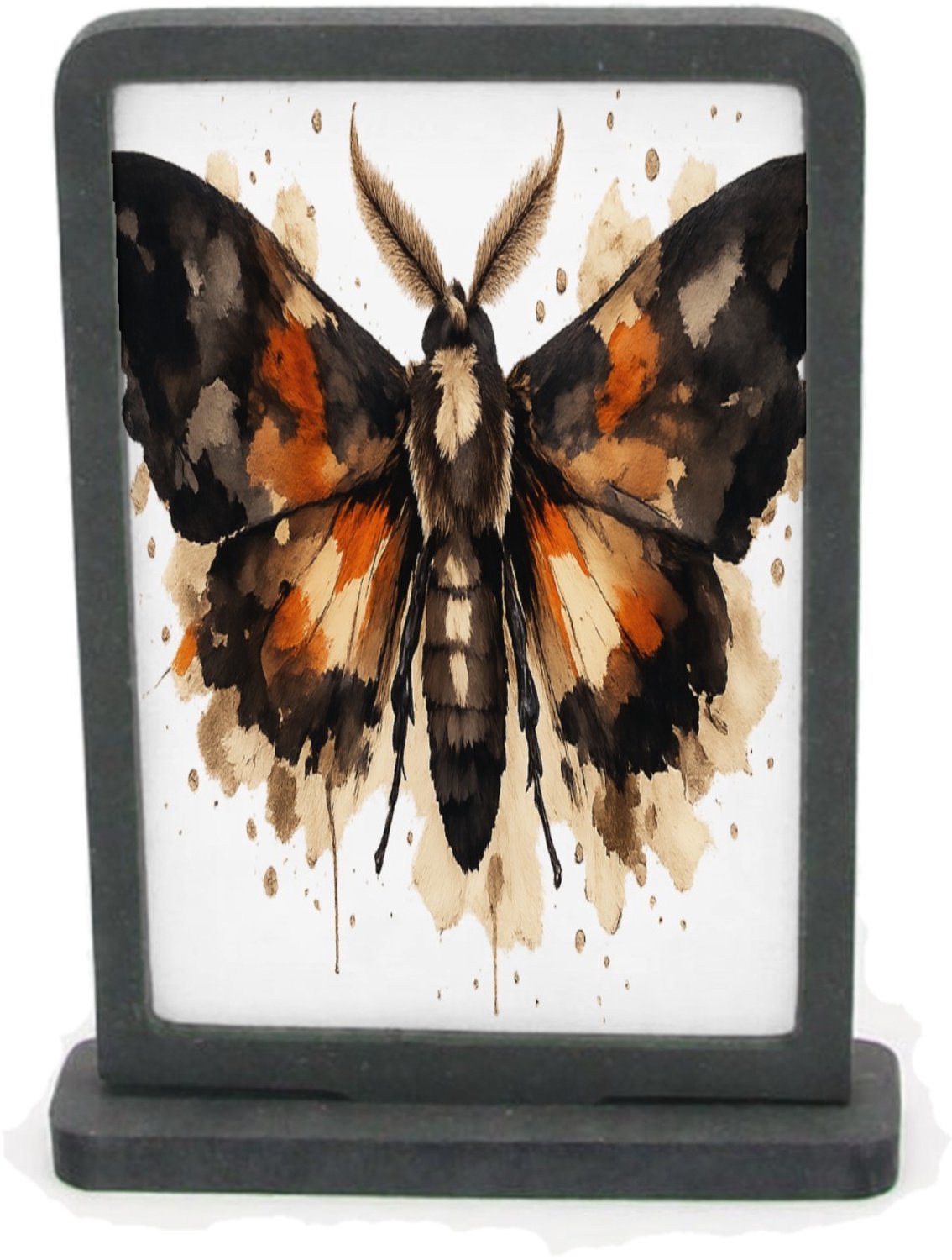 Mr Cadeautjes Houten fotolijst rechthoek met MDF inleg - design Een dramatisch insect of nachtvlinder met brede vleugels en | cadeau Wit