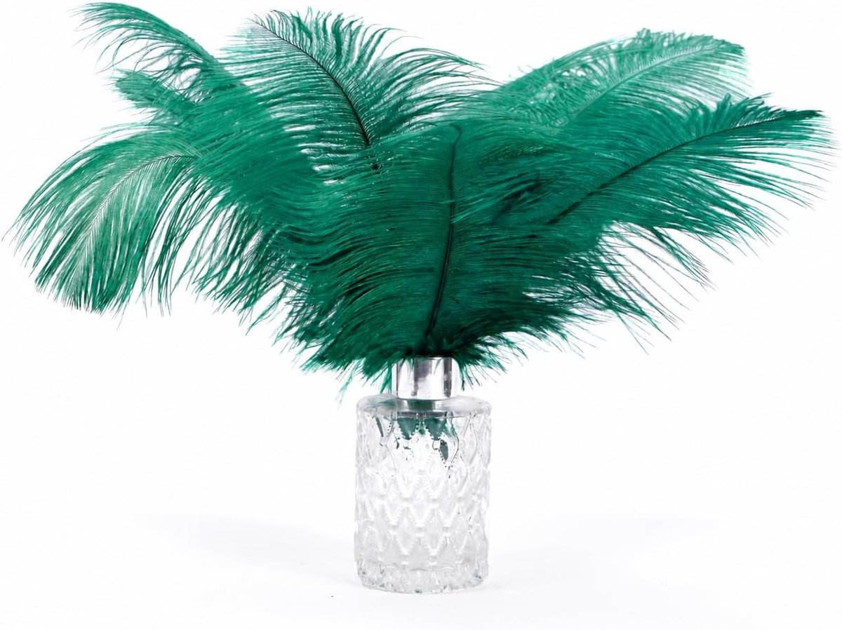 Veren, 10 stuks, 20-25 cm, veren voor bruiloftsdecoratie, doe-het-zelf knutselen, kerstdecoratie, vaasdecoratie & kattenspeelgoed (donkergroen) | natuurlijke struisvogelveren perfet veren voor knutselen