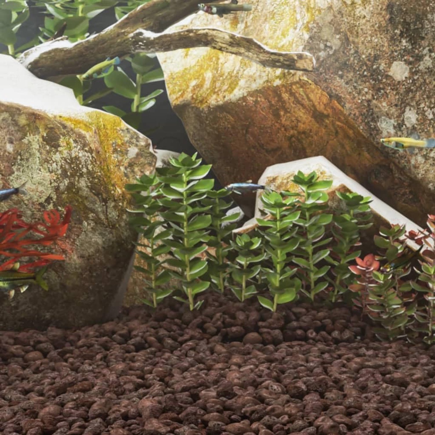 25 kg rood 3-5 cm vulkaansteen voor aquariumdecoratie en biologische filtering in tuinlandschapsarchitectuur