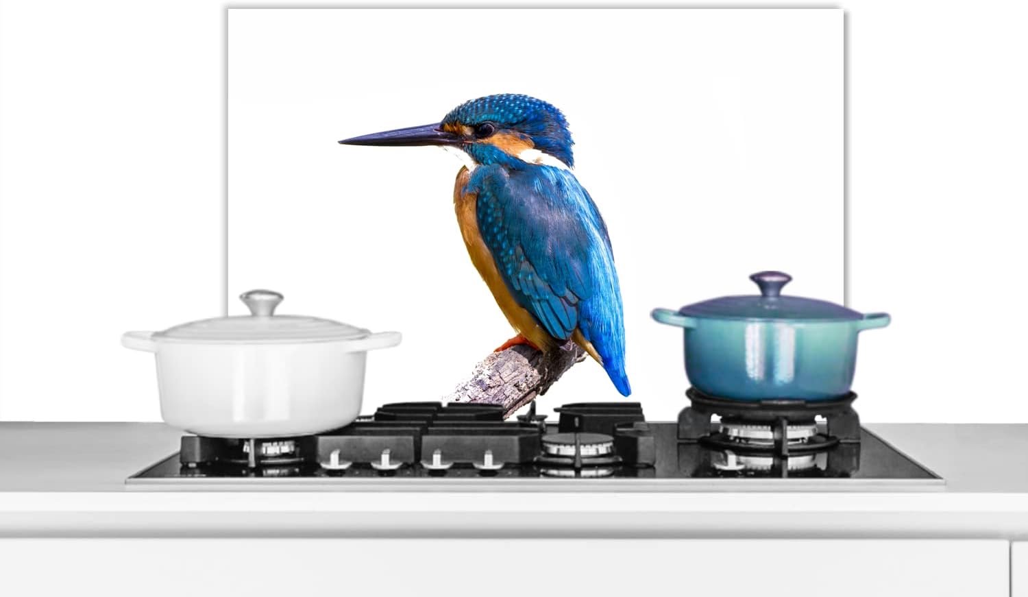 Spatscherm Keuken - 70x50 cm - IJsvogel - Veren - Tak - Blauw