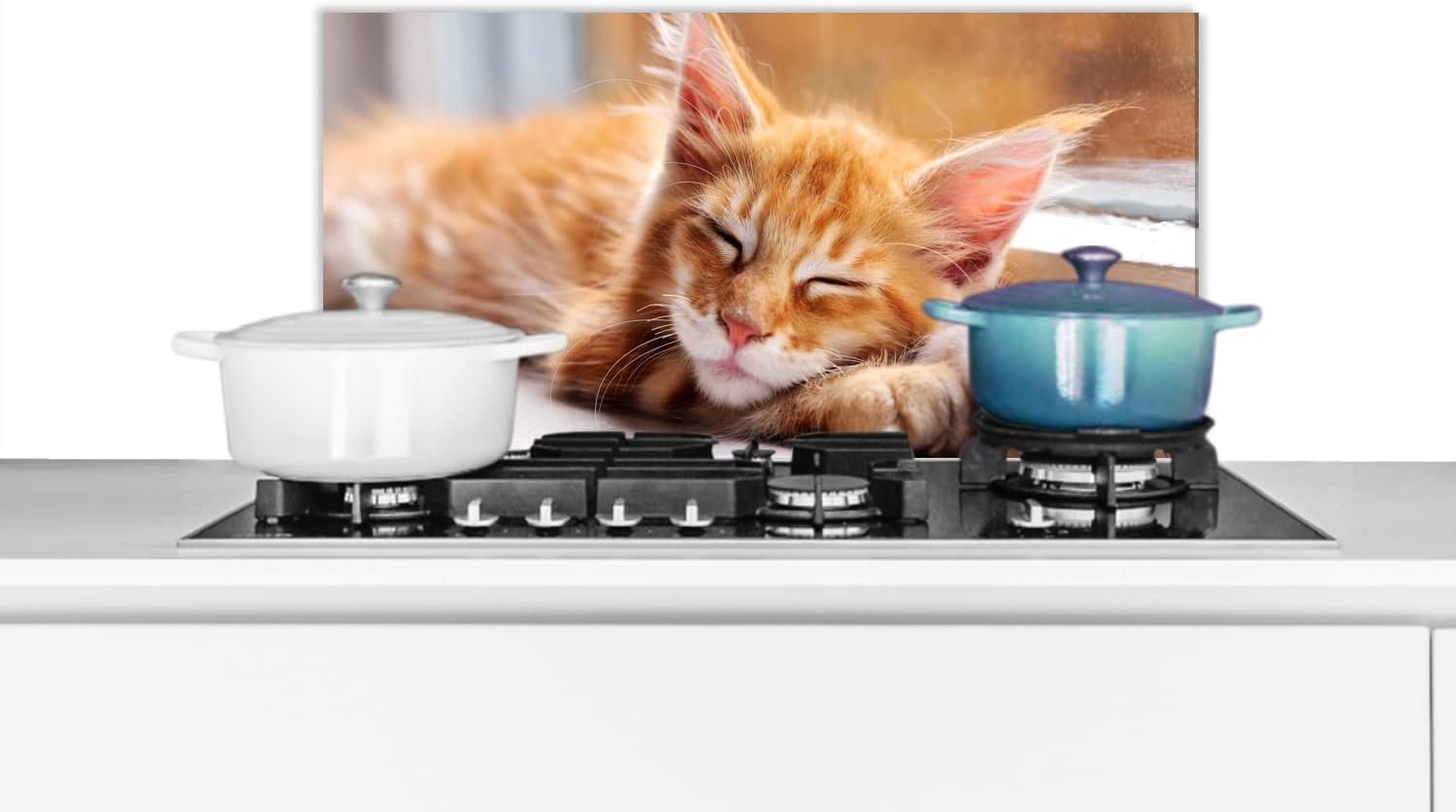 Spatscherm Keuken - 60x30 cm - Oranje Maine coon kat ligt in de vensterbank