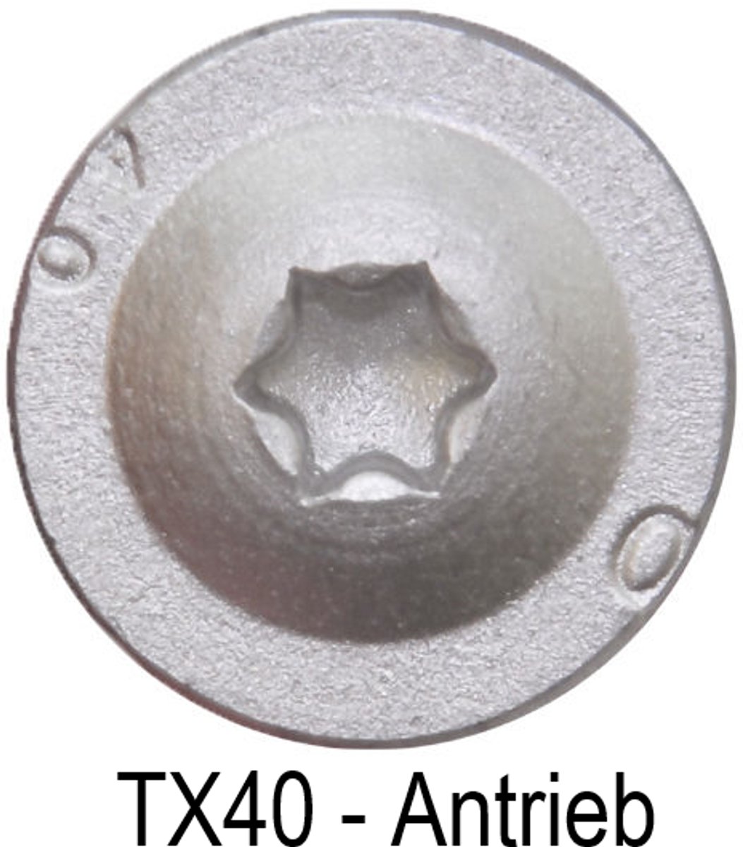 PARCO Beslagschroeven 8 x 50 mm – Torx 40 – 100 stuks – Voor balkschoenen en paalankers