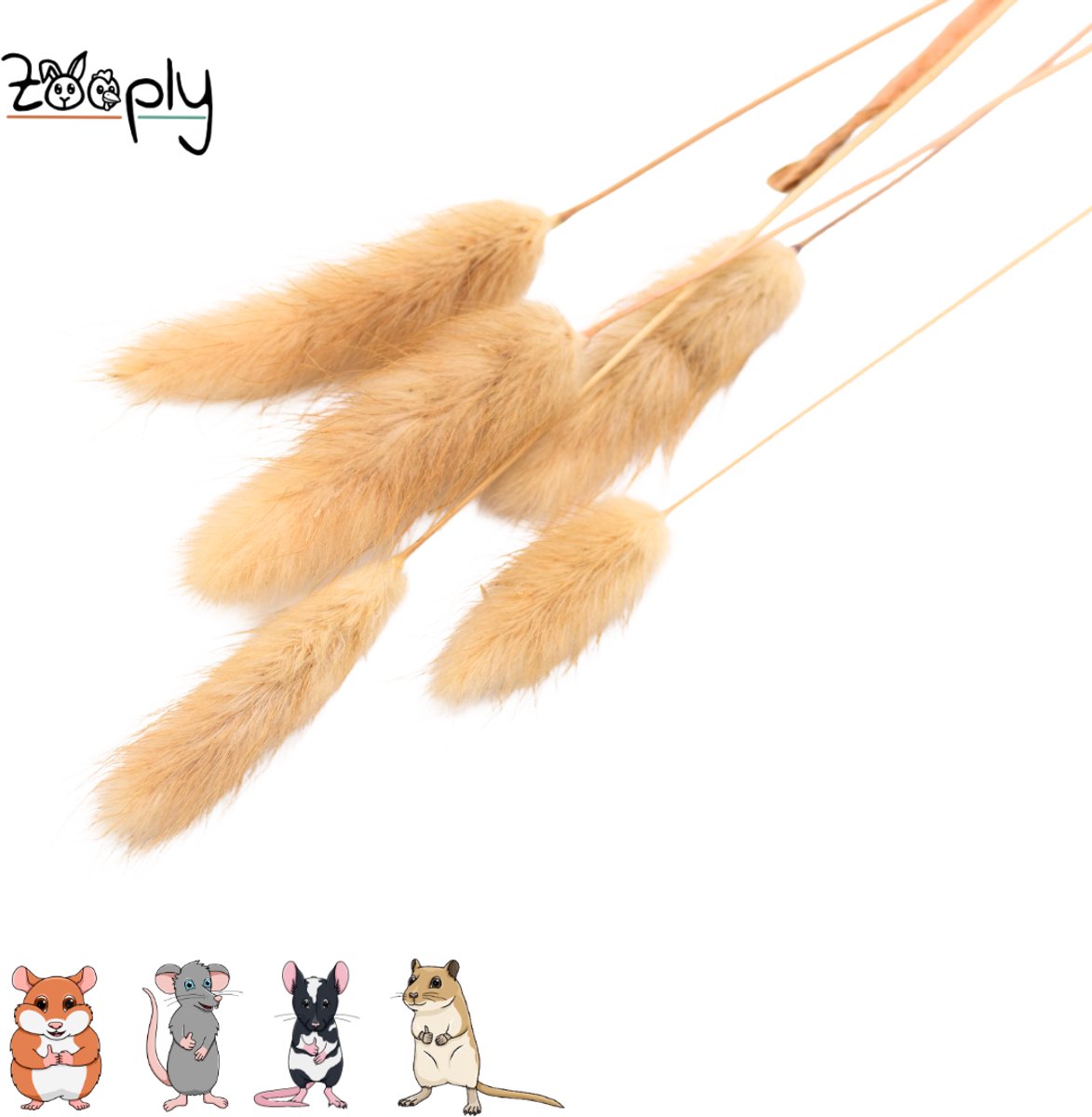 Zooply Hazenstaart - 70 gram - in koker