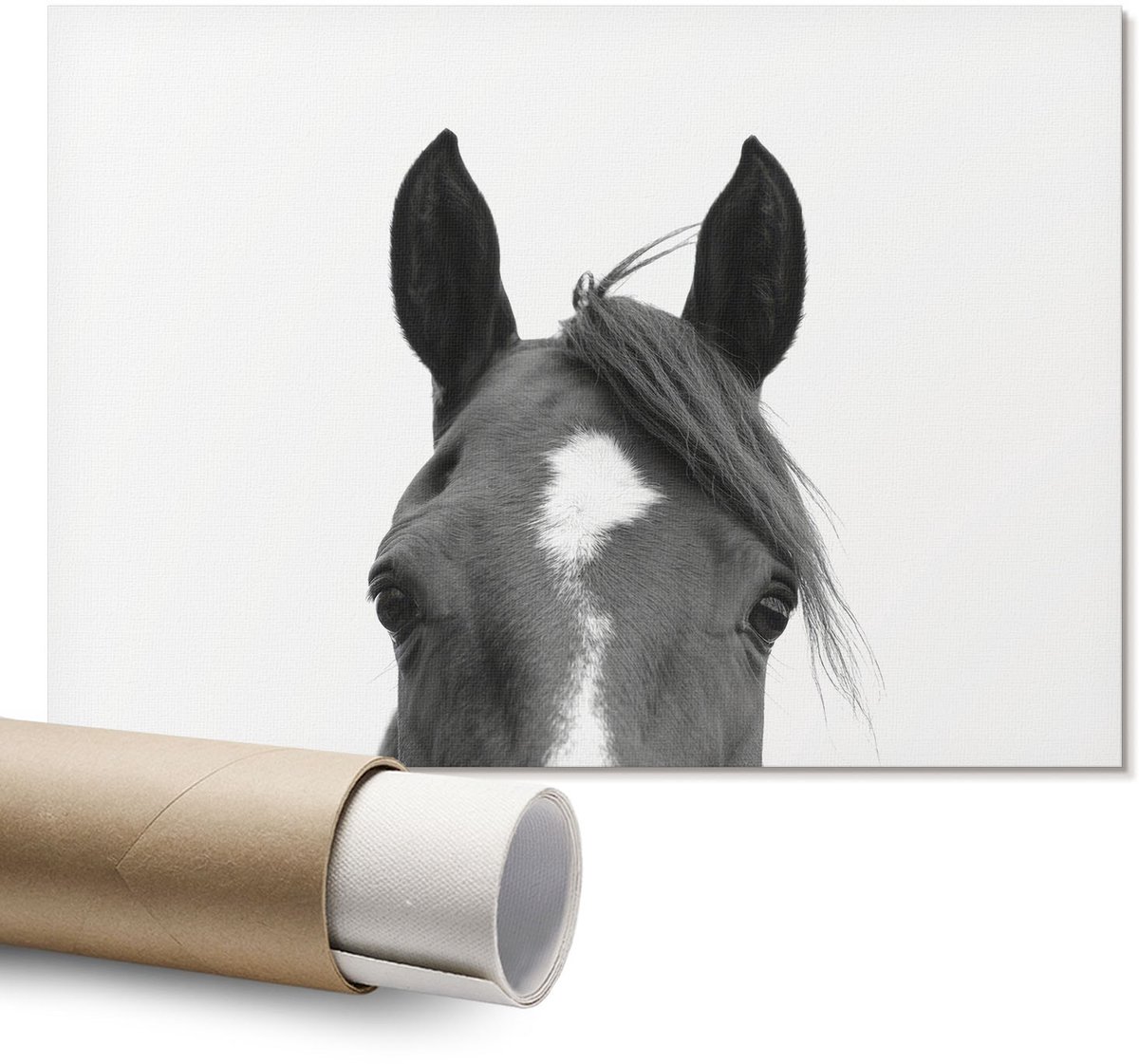 Coloray Polycanvas Wandposter – Paardenoren, Zwart – A1 – Zwart-Wit Poster – Rechthoek – Muurdecoratie – Kantoor – Expressief