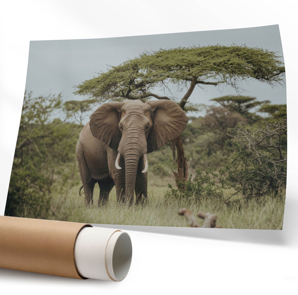 Coloray Polycanvas Wandposter – Olifant Op De Savanne, Groen – 594 x 840 mm – Grijs Patroon – Rechthoek – Wandkunst – Kantoor – Klassiek