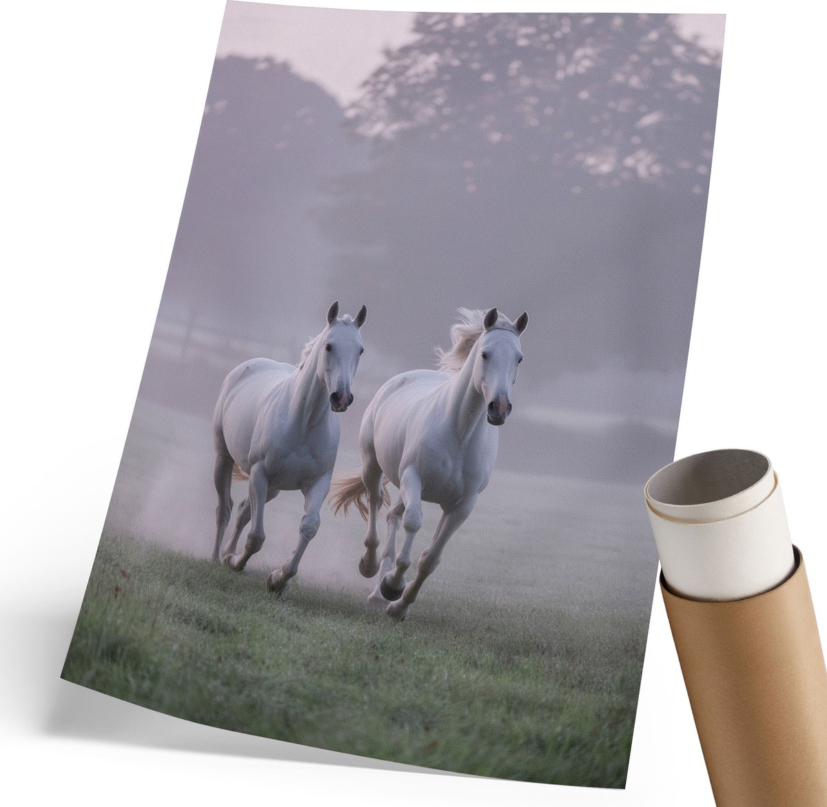 Coloray Polycanvas Wandposter - Galopperende Paarden, Fotografie - 210 x 297 mm - Wit Design - Rechthoek - Wandkunstwerk - Woonkamer, Slaapkamer, Kantoor - Klassiek