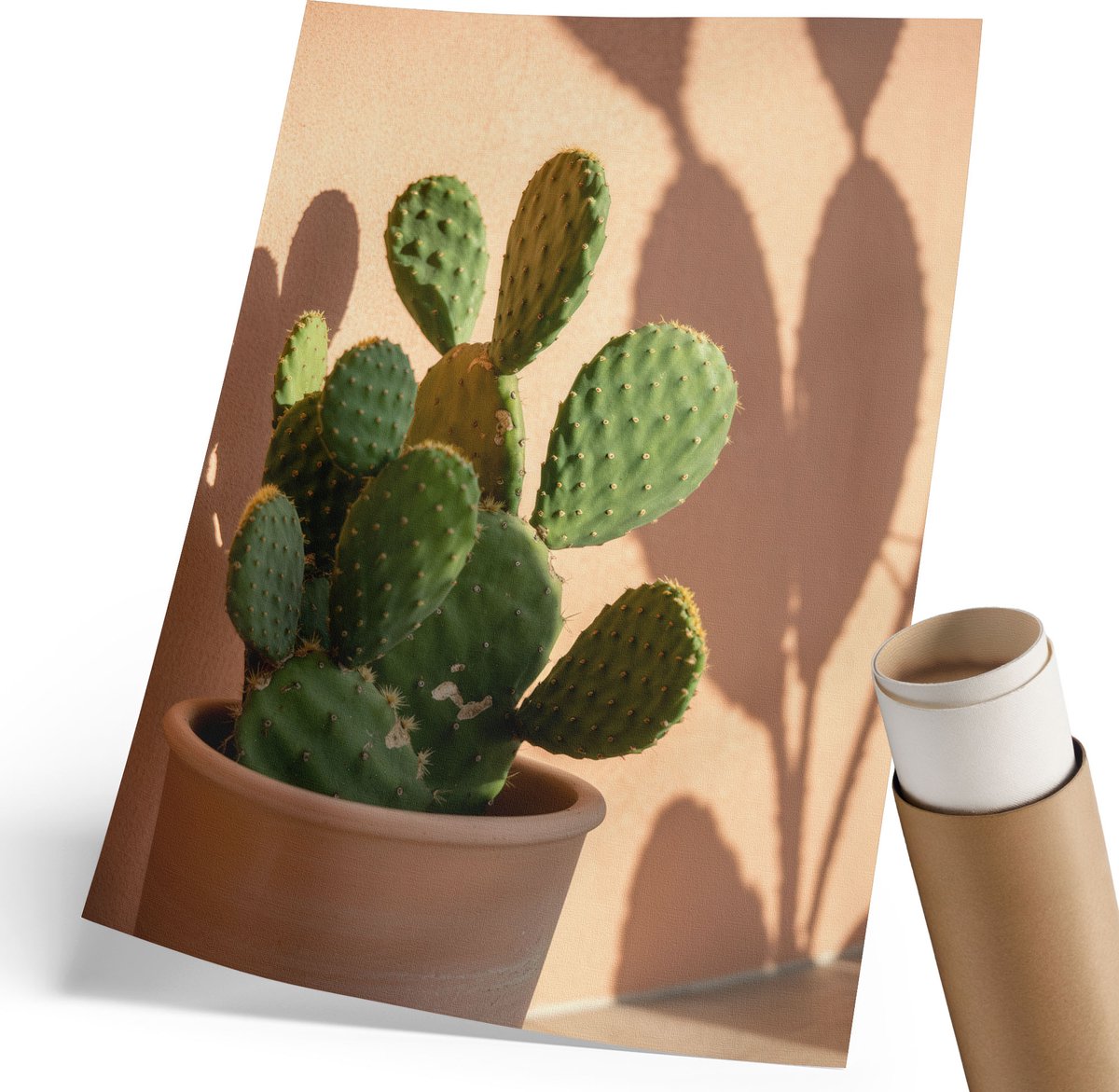 Coloray Polycanvas Poster - Groene Cactus, Fotografie - 210 x 297 mm - Groen Motief - Rechthoek - Muurdecoratie - Woonkamer, Slaapkamer, Kantoor - Modern