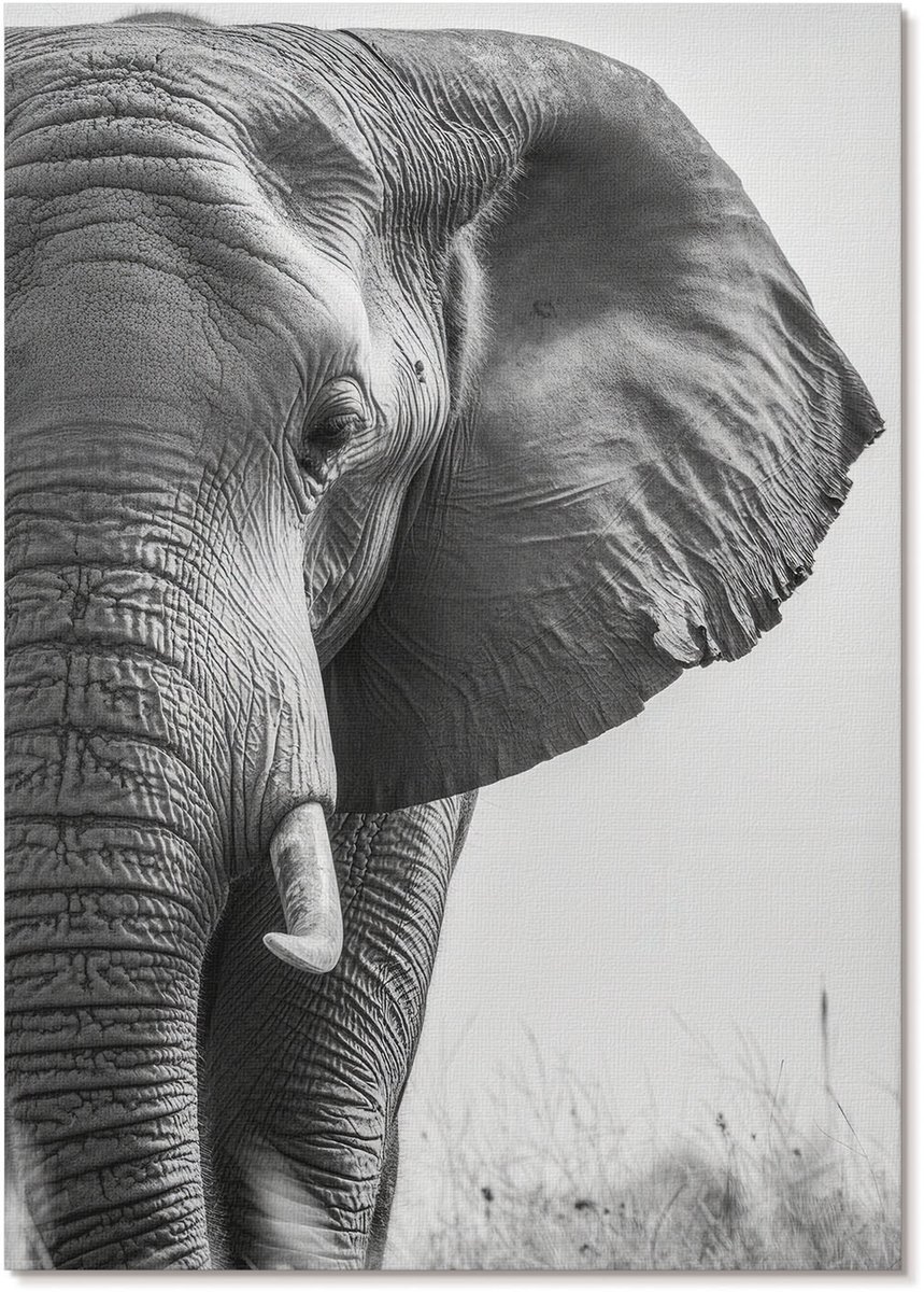 Tulup Canvas Poster Polycanvas - Kat Met Klauwen, Illustratie - A3 - Zwart Patroon - Rechthoek - Wandkunst - Woonkamer, Slaapkamer, Kantoor - Popcultuur