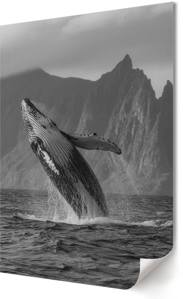 Coloray Canvas Poster Polycanvas - Walvissprong, Illustratie - 420 x 594 - Zwart-wit Poster - Rechthoek - Decoratieve poster - Woonkamer, Slaapkamer, Kantoor - Klassiek