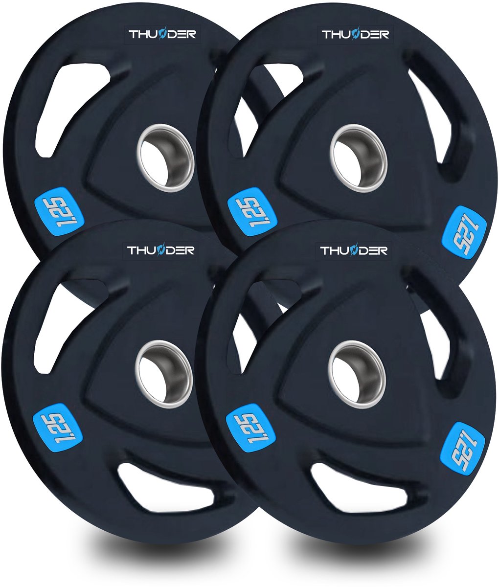 Olympische borgringen 4x1,25kg Gietijzer 51mm