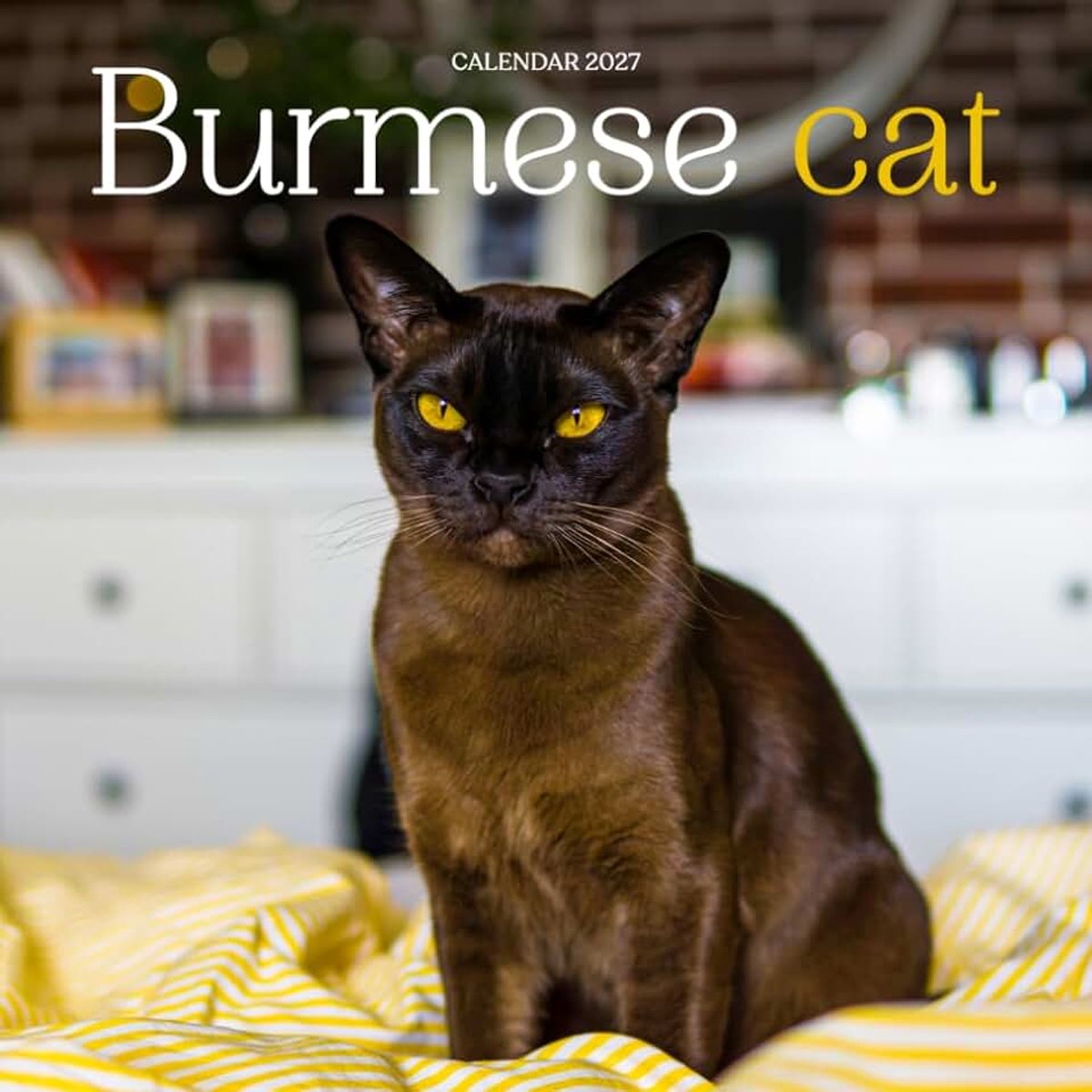 Burmese Cat Calendar 2027: Golden Eyes and Cozy Cat Days