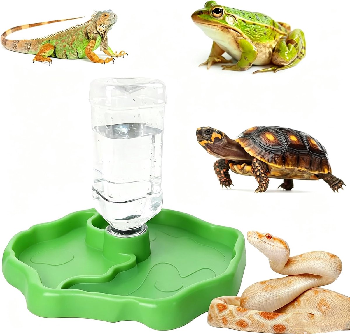 Voederbak voor reptielen, terrarium, waterdispenser, geschikt voor schildpadden, gekko's, slangen, kikkers enz. Reptielen huisdieren (groen fluorescerend)