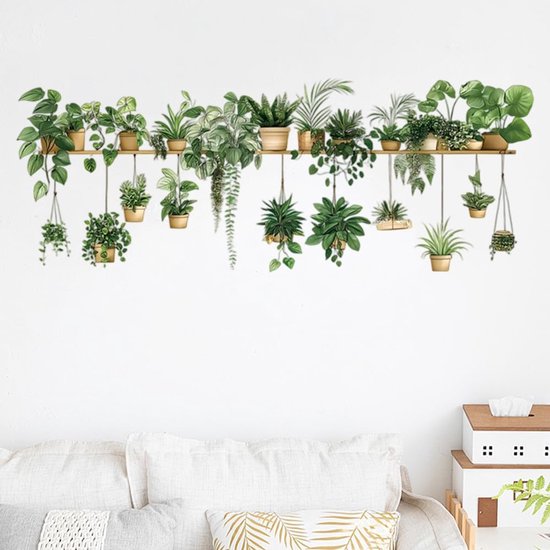 Een rij groene planten in potten, hangend aan een houten plank aan een witte muur boven een bank.