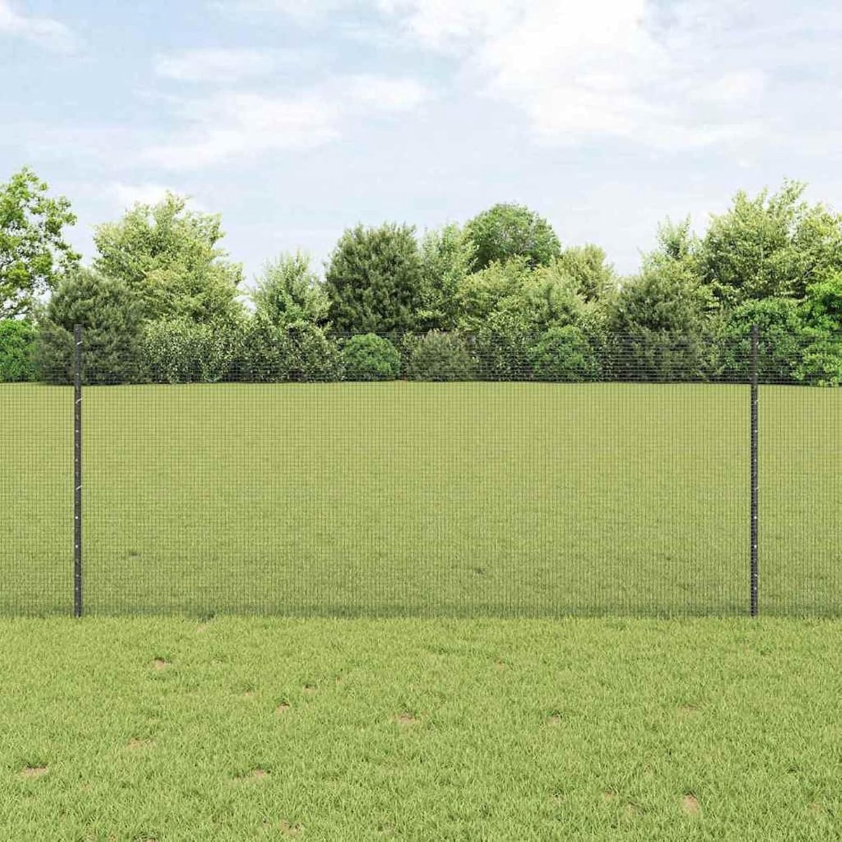 Kippendraadhek, set van 2 grijs metaal, 10 x 1 m, mobiele omheining, tuinhek voor tuin, binnenplaats, kippenhek, konijnenhok 3336562