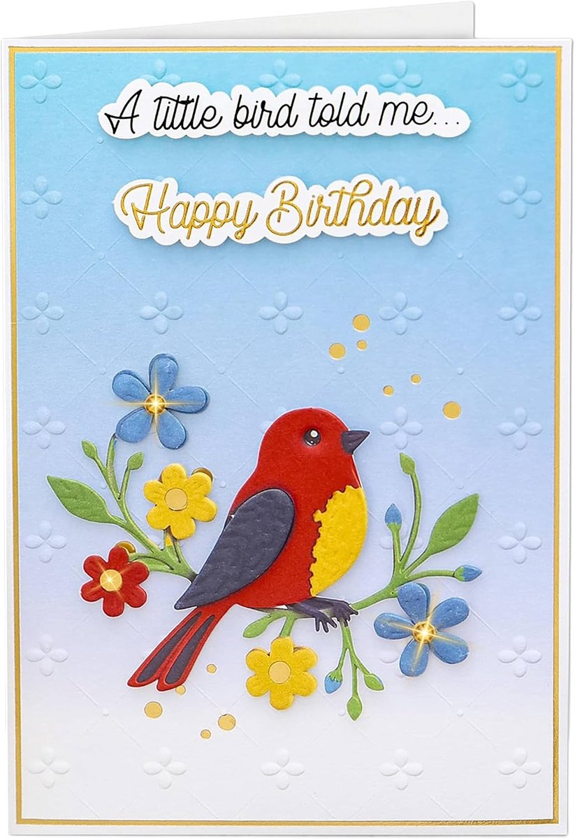 Coon Signature kaart met envelop en zegelsticker - Little Bird told me Happy Birthday