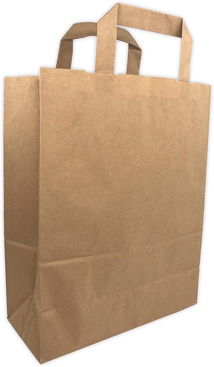 100 kleine zakjes van kraftpapier in ecrubruin, met handvat, 6 liter, breedte 22 cm, hoogte 28 cm, balg, 10 platte handgrepen, robuust, 70 g, onbedrukt, ref UGSE06PP1F (100), 100 stuks