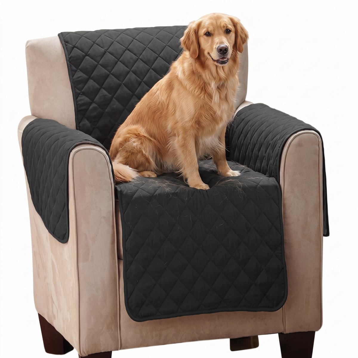 Relaxfauteuilhoes – Zwart – 1-Zits – Waterdicht – Voor Honden en Katten