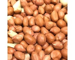Tuinvogelvoer - Gepelde Pinda voor vogels - Vers Vogelvoer - 5KG