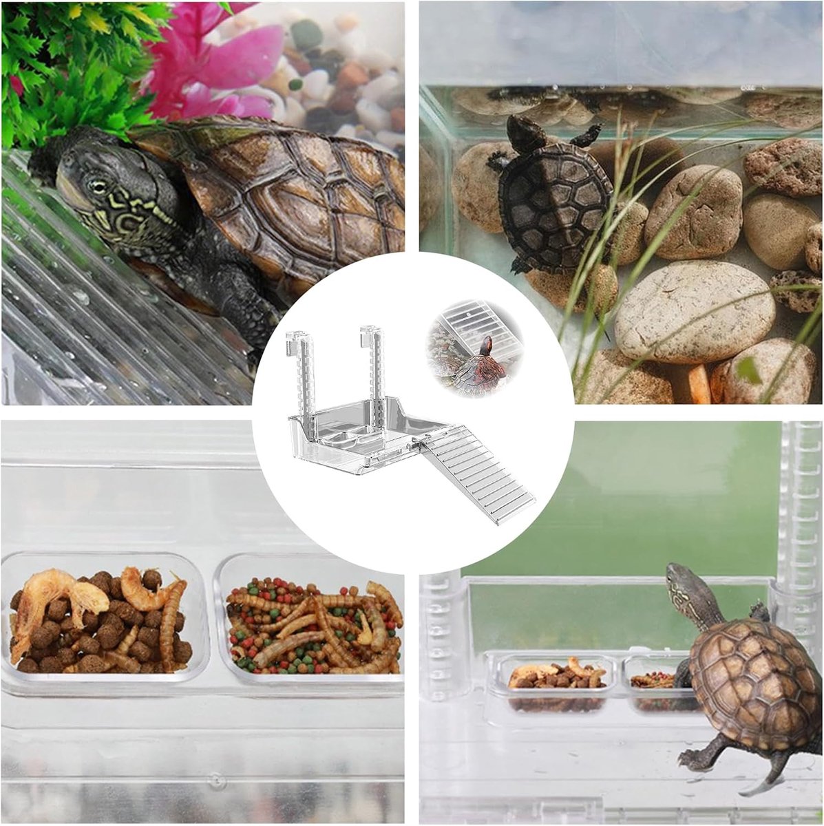 Zonneplatform voor schildpadden, platform voor schildpaddenbassin, zonneplatform schildpadden, hangende schildpadden zonneplatform, voor kleine schildpadden, kleine reptielen