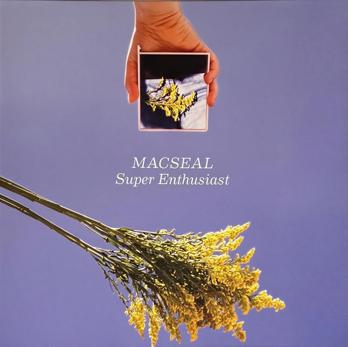 Macseal - Super Enthusiast (LP)