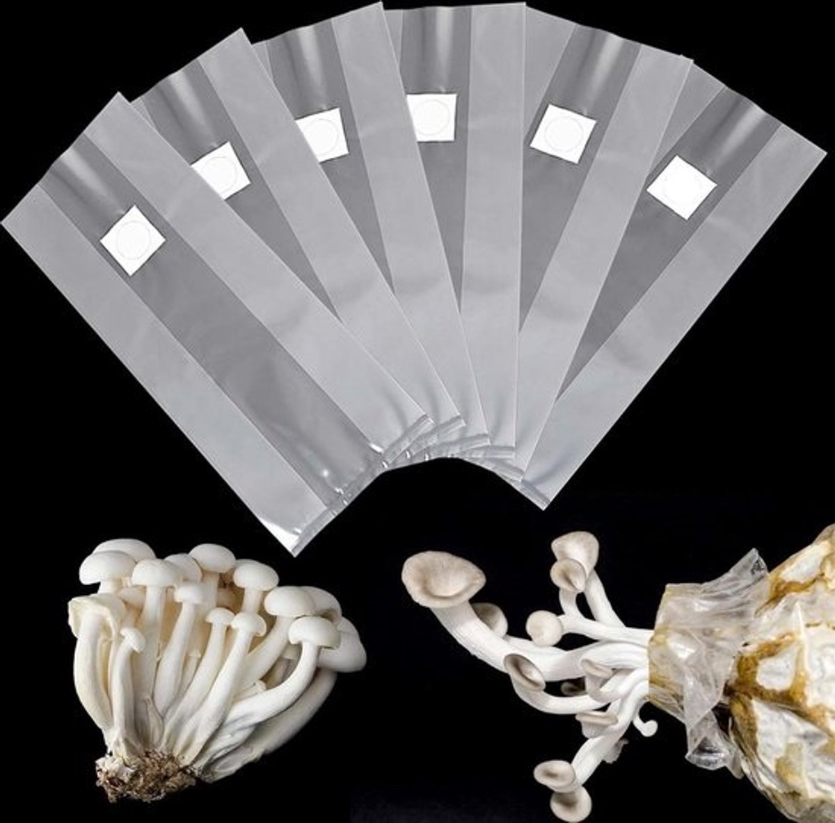 30 stuks paddenstoelkweekzak 32 x 50 cm met 02 micrometer filter voor shiitake en Enoki paddenstoelen .