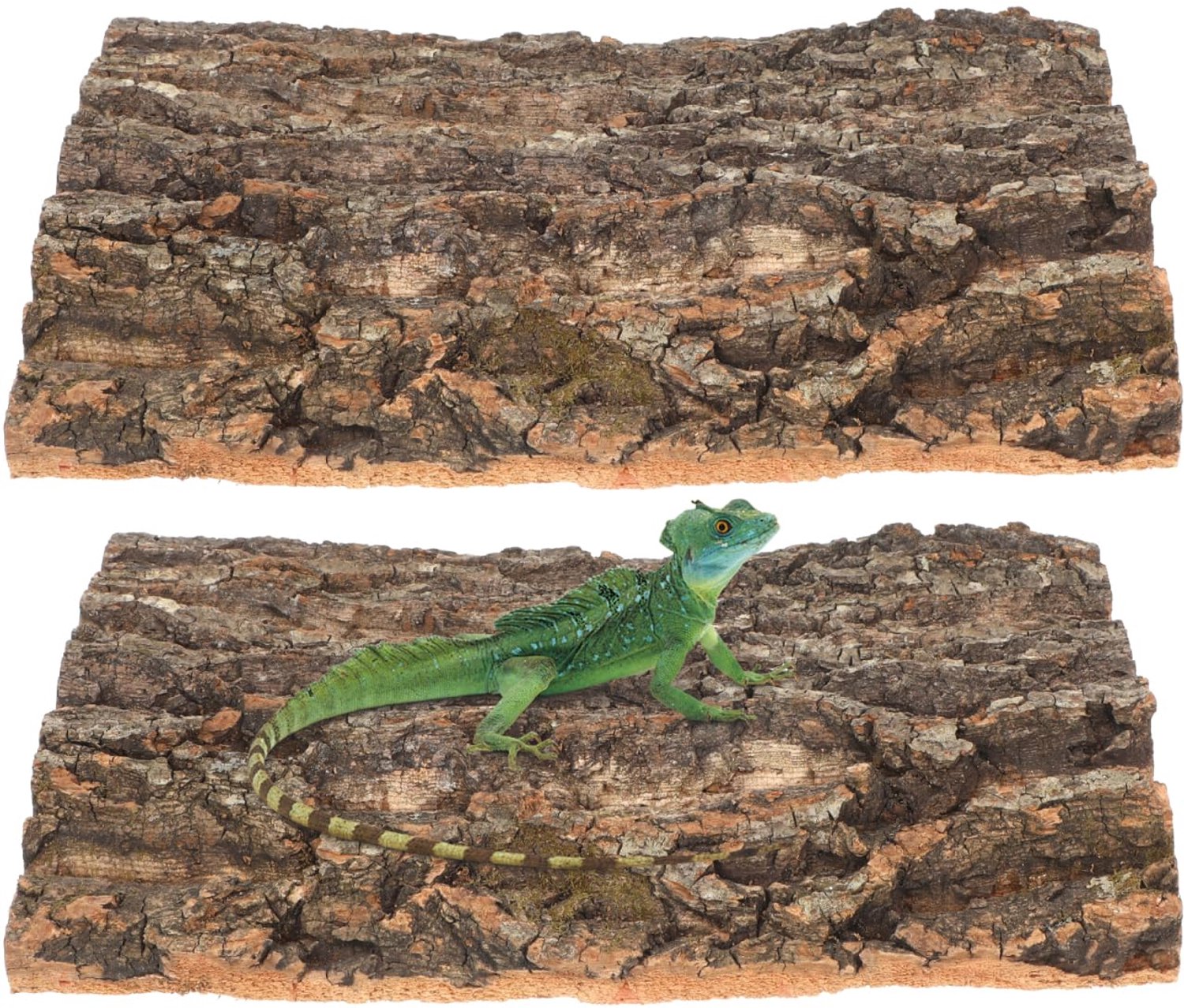 Boomschors Terrarium Achterwand 30 x 20 cm voor Reptielen