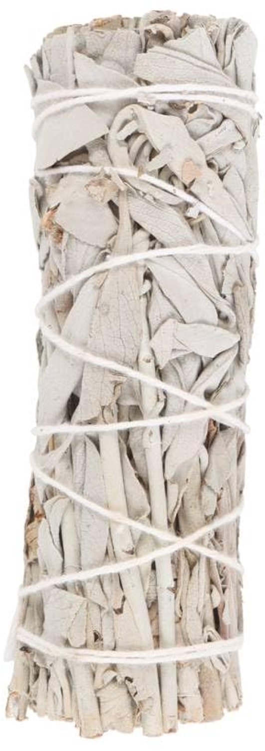 White Sage Smudge Stick - Handgebonden - 10 cm
