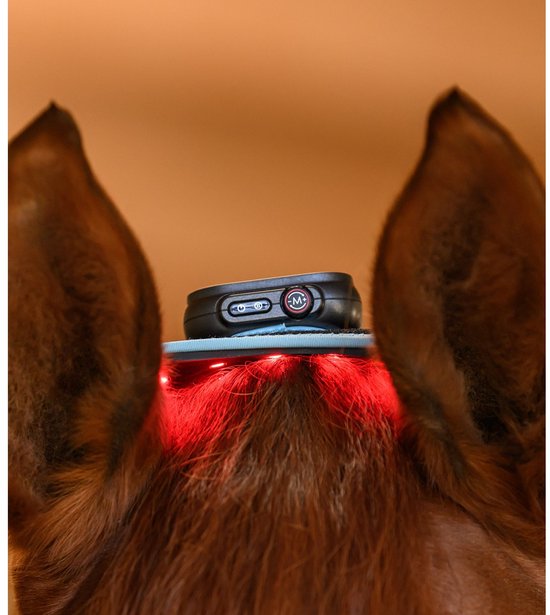 Zwart apparaat met 'M'-knop op een flexpad op het hoofd van een paard, met rood infraroodlicht zichtbaar.