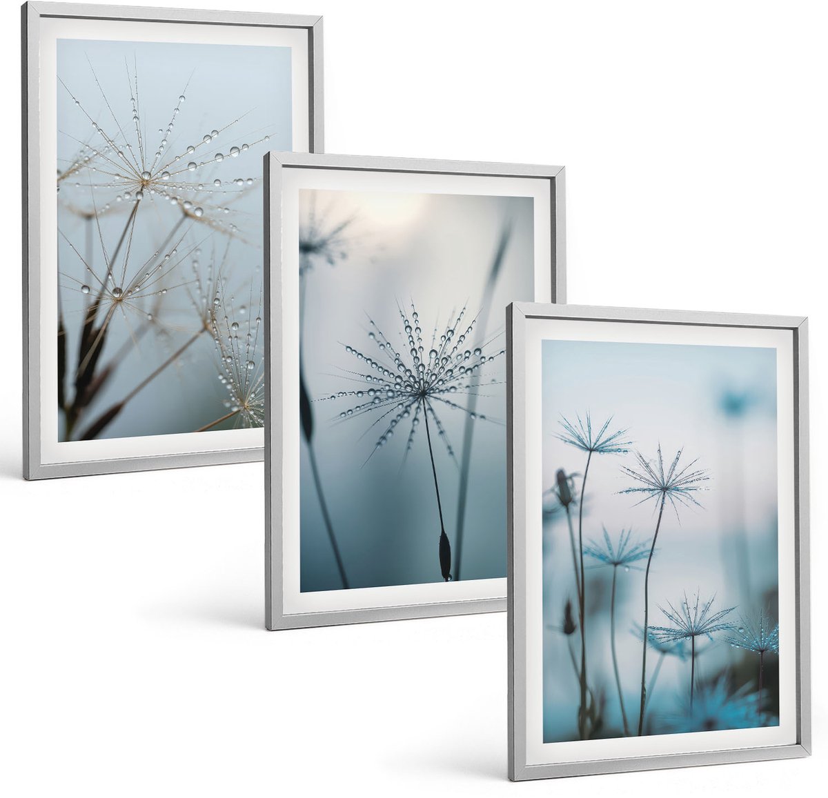 Coloray 3-Delige Schilderij Set - Fijne Paardenbloemen Met Waterdruppels - 40 x 60 cm - Decoratieve Muurdecoratie - Slaapkamer