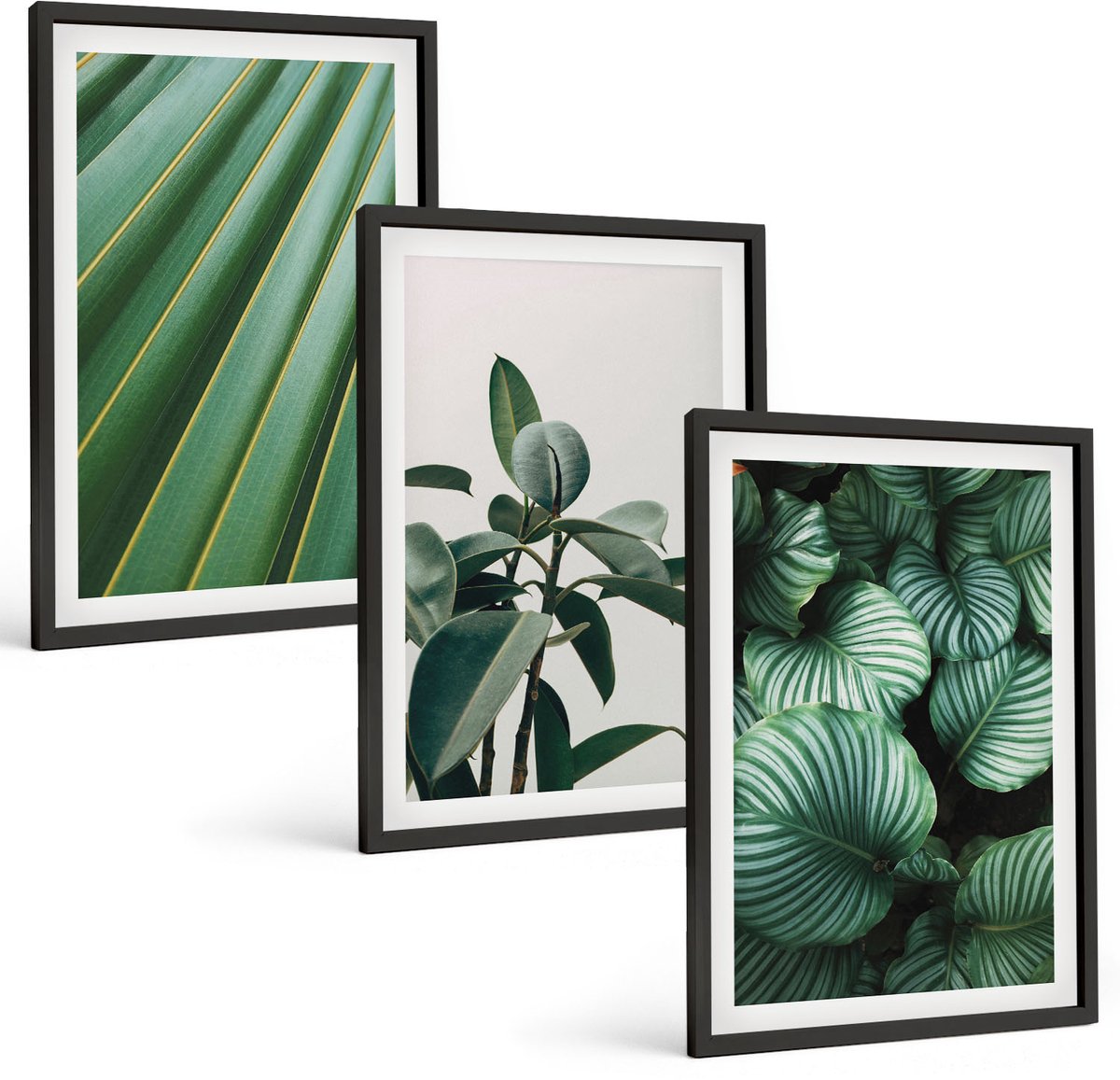 Coloray 3-Delige Schilderij Set - Esthetische Tropische Bladeren In Diverse Groene Tinten - 40 x 60 cm - Muurdecoratie - Decoratieve Schilderijen - Wohnzimmer - Interieur Decoratie