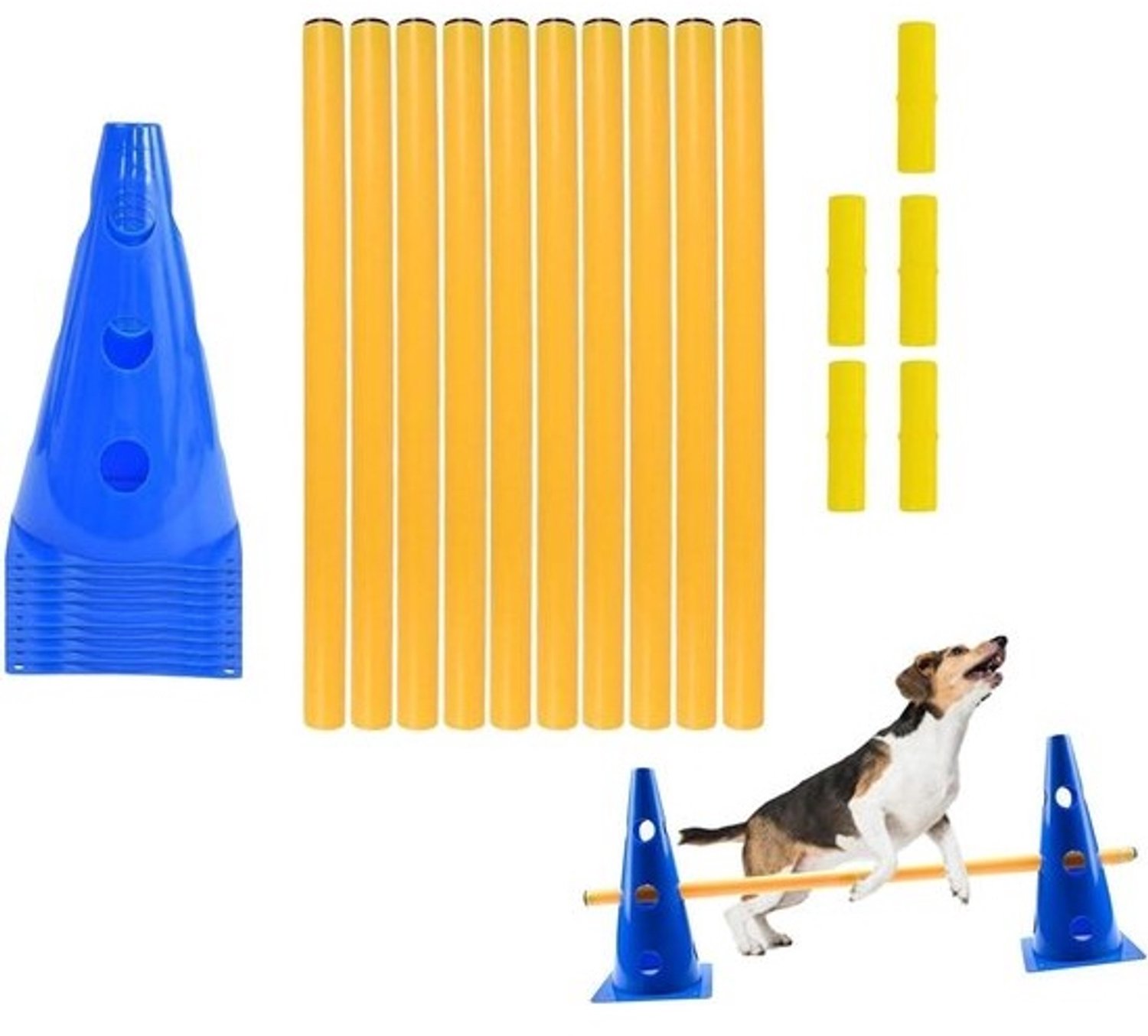 Hondenbehendigheidset - Trainingsparcours voor honden - Voor hondentraining buiten - Dempend ontwerp - Verstelbare hoogte - Blauw