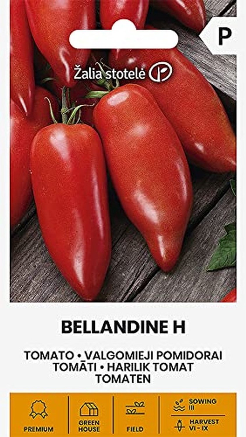 Tomatenzaad Beladine H - Groentezaden - 1 Zak