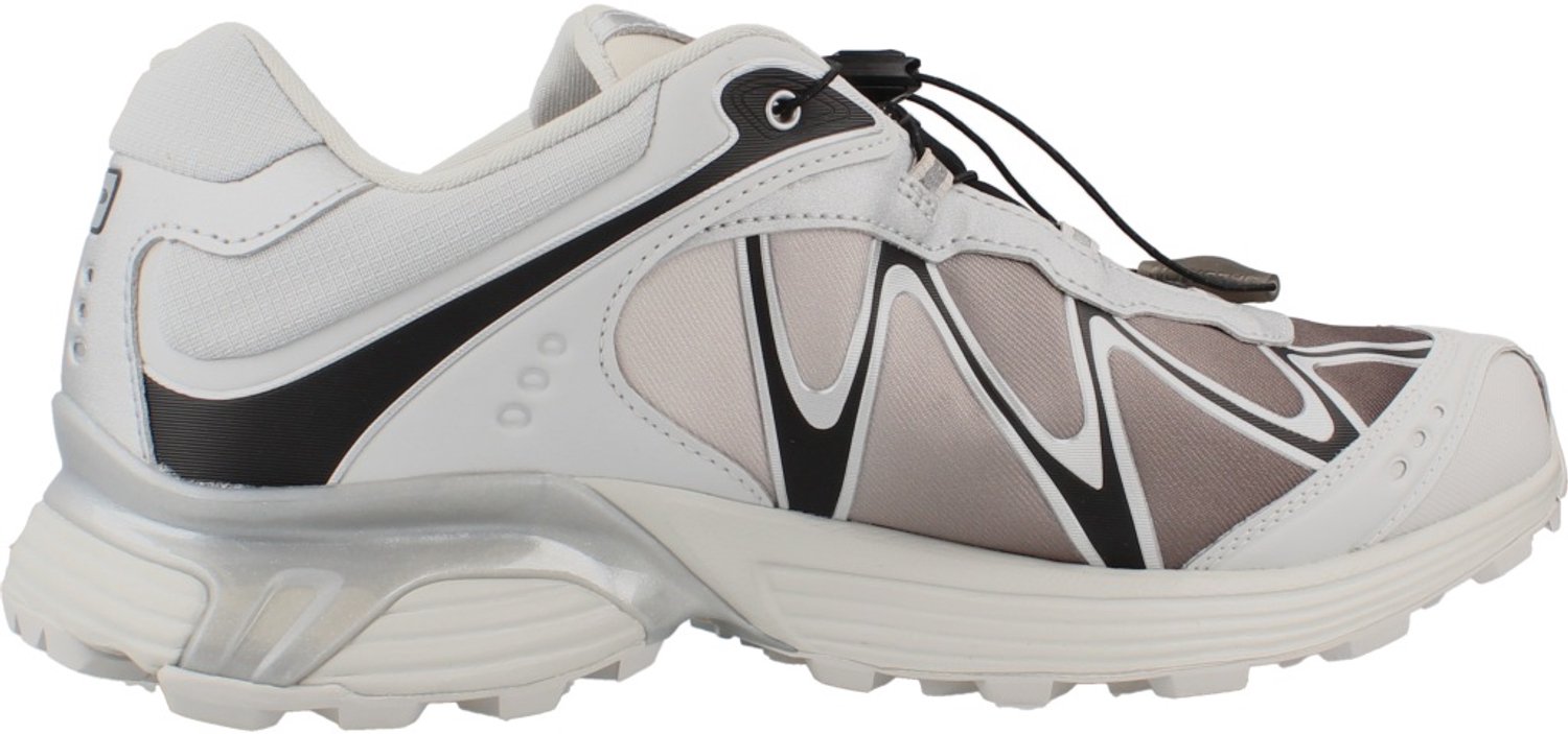 SALOMON XT WHISPER GTX Grijs 42 2/3 EU