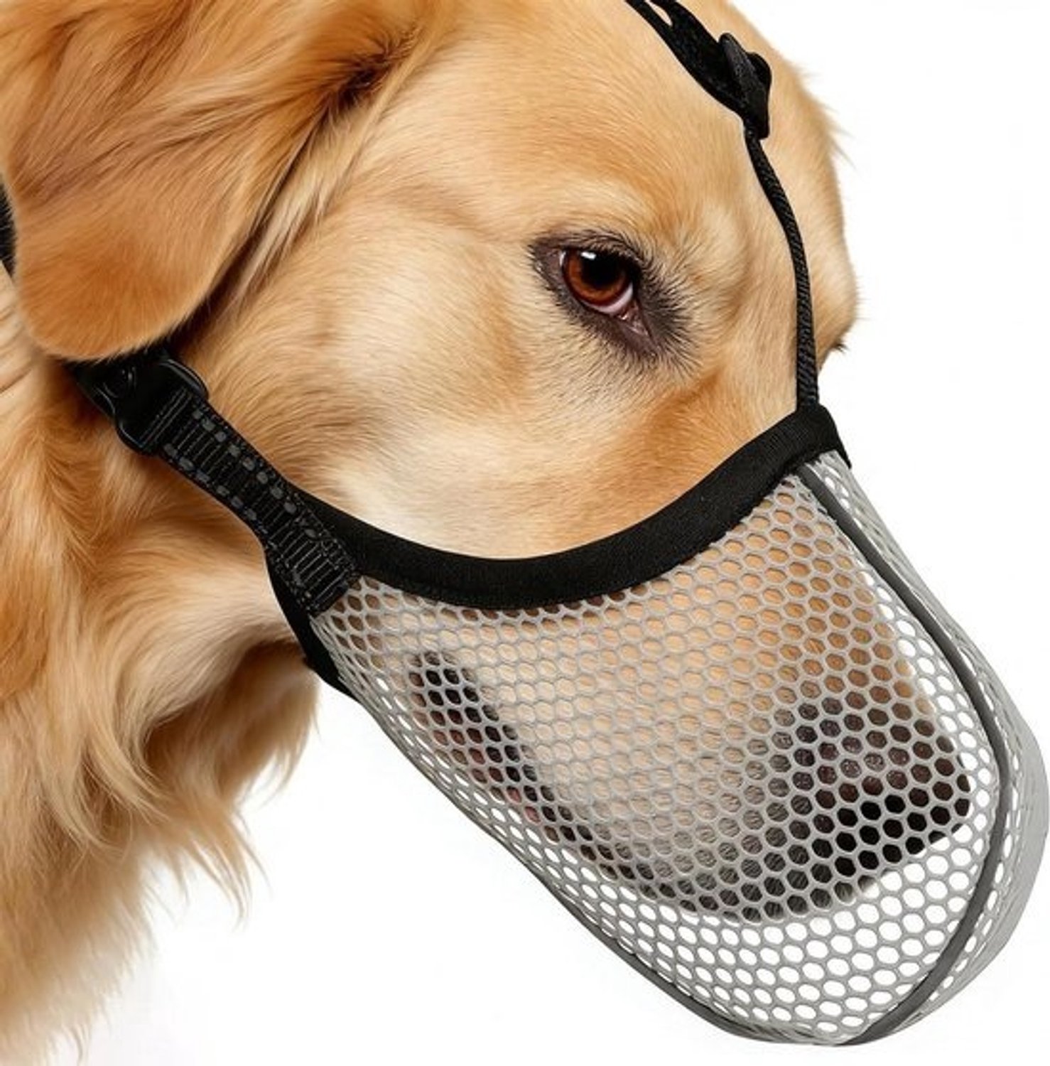 Hondenmuilkorf - Hondenmasker - Veiligheid buitenshuis - Reflecterende strepen - Verstelbaar - Grijs