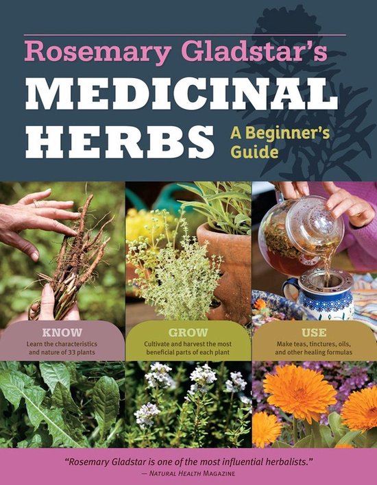 Beginners Guide To Medicinal Herbs
