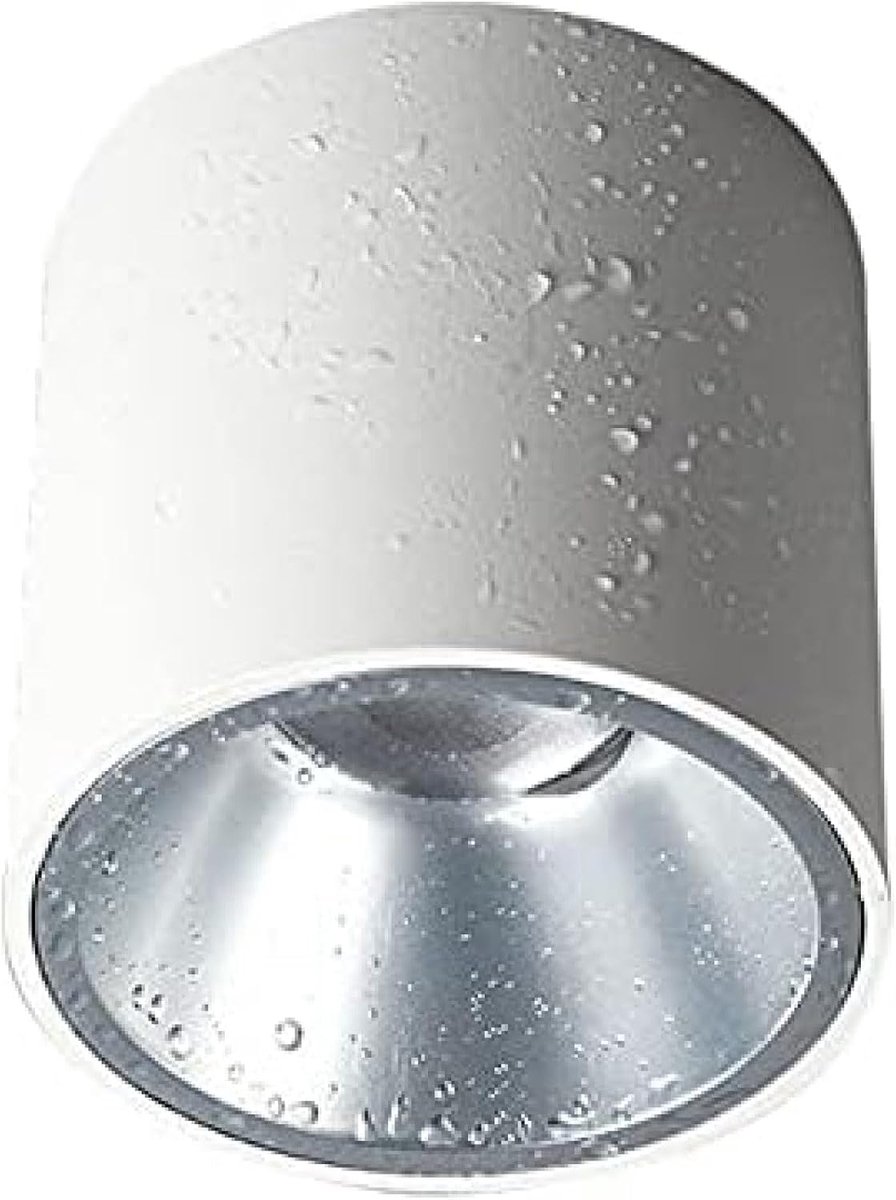 LED-plafondspot Opbouw Accent Spot Light, IP65 Badkamer Wandspot Verlichtingsarmatuur, Moderne Plafondspots Voor Bad Balkon Gang Bad,Wit-4000k,bonny369