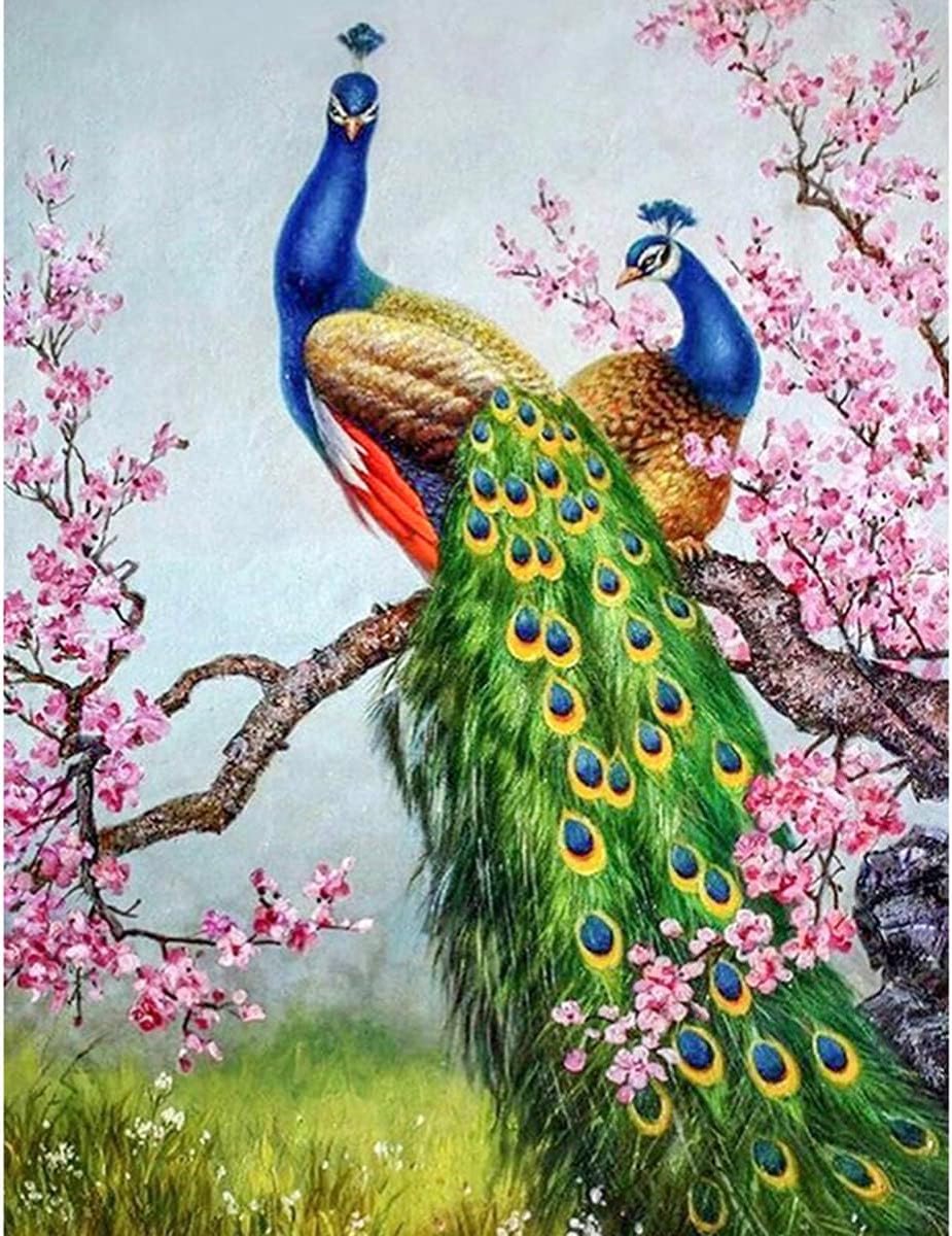 5D Diamond Painting voor Volwassenen Grote Schilderij Bergkristallen Kruissteek Kunstnijverheid Muur Foto Huisdecoratie Pauw 60x40 cm