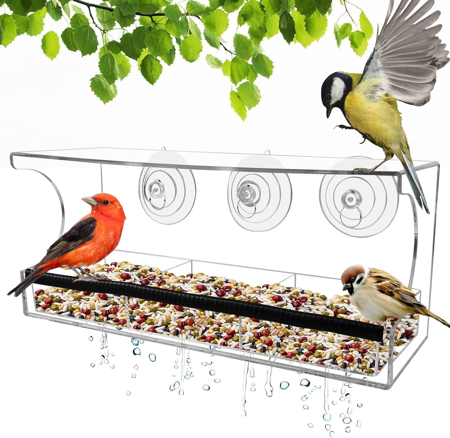 Transparante vogelvoederbak voor het raam: voorzien van zuignappen en afwateringsgaten; afneembaar ontwerp; afmetingen 30 x 10 x 14 cm.