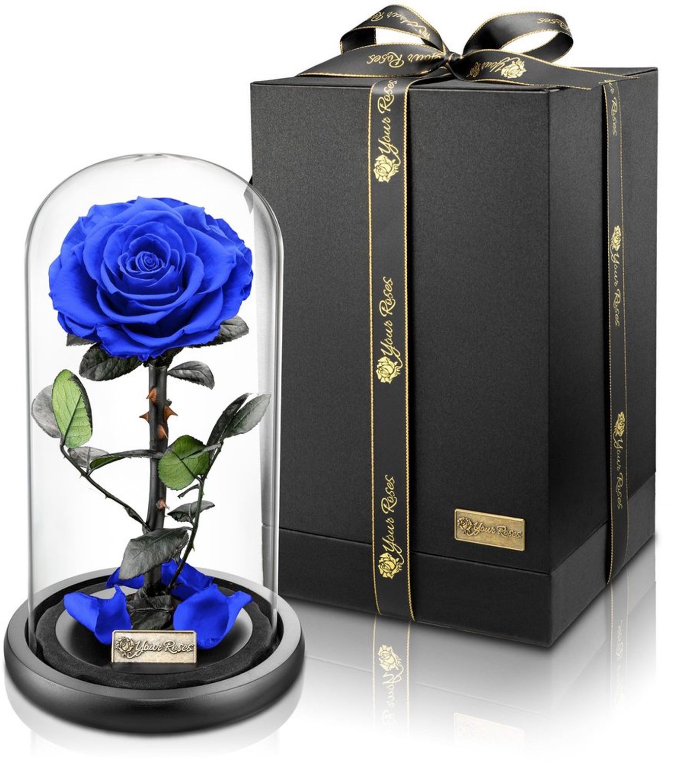 Roos Premium Geconserveerd - Geschenkdoos - Decoratie - Bruiloft - Valentijnsdag - Lange Houdbaarheid - Geconserveerde Roos
