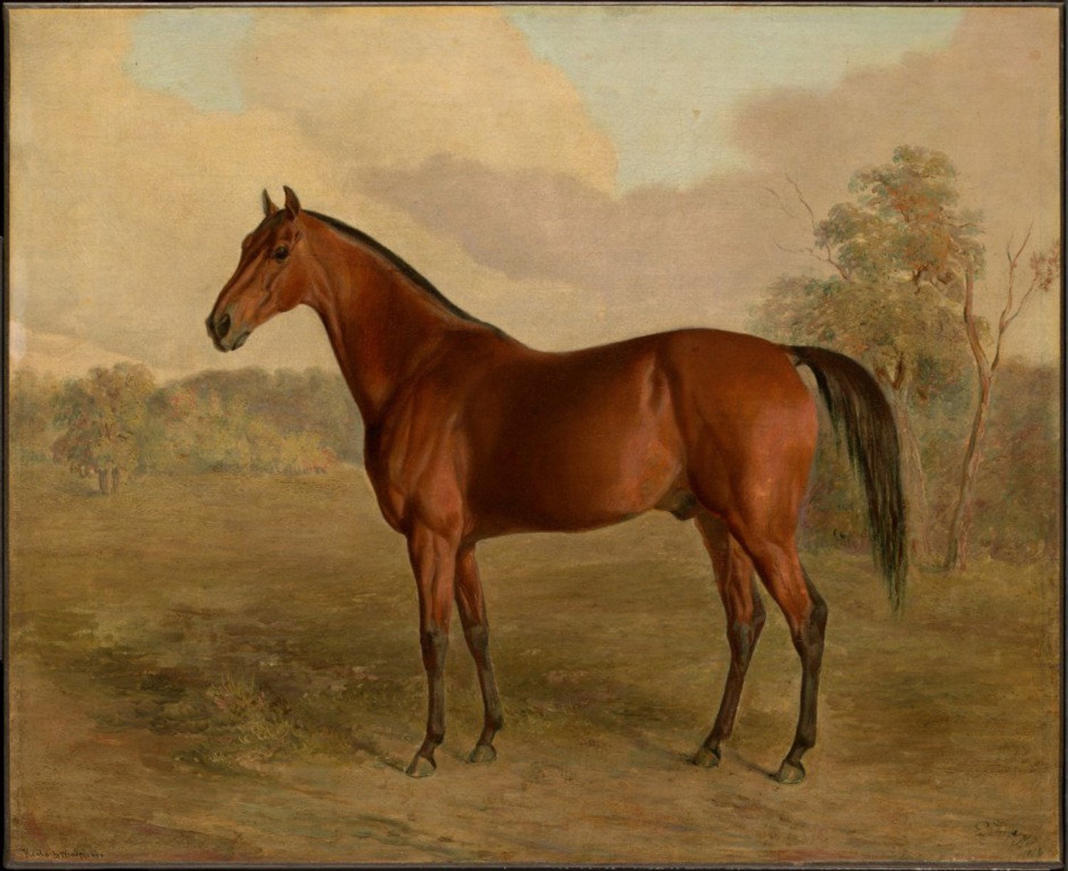 Vgdesign Klassiek paardenportret 70x50 tuinposter banner VGDesign onbekend